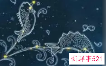 真正王者的星座