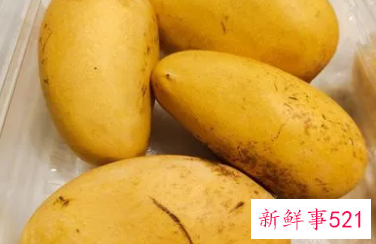 未熟的青芒果怎么保存