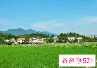 回农村老家的心情感悟和图片