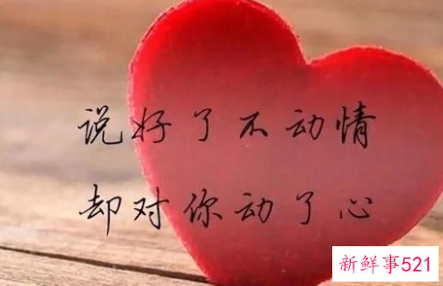 嫁人后的心酸语录