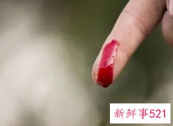 梦见被杀好多血