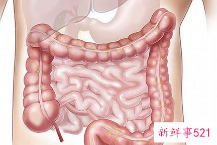 梦见割内脏的预示