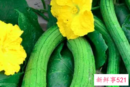 男人为什么不能吃丝瓜