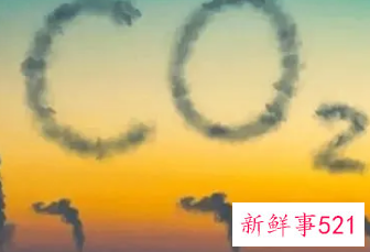 全球2021年电力碳排放创新高