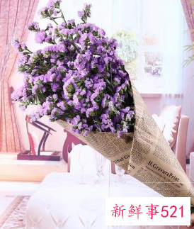 满天星放客厅的禁忌