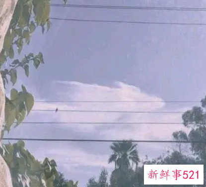 金牛座的惊人艺术天赋