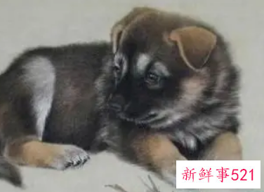 82年属狗大海水命忌讳颜色