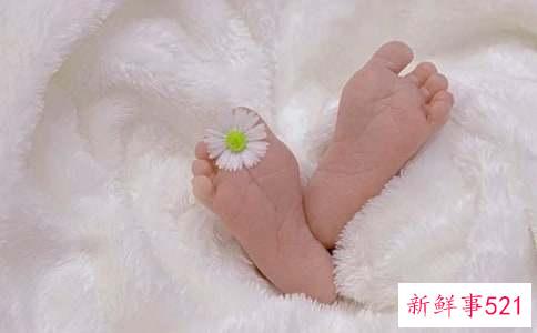 出生的属蛇女全年运气