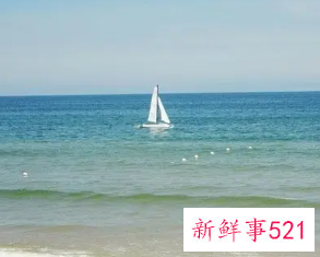 大海水命摆放什么招财