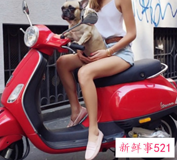 皮鞋配短裤是什么穿法