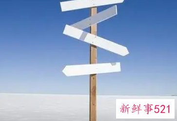 职业取向分析劣势