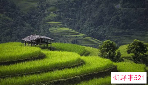 晒农村生活的说说