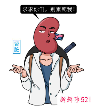 人老了身体器官会有怎样的变化