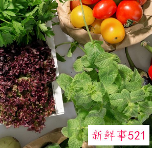 含维生素b1最多的食物