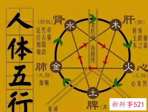 教你轻松辩识五行归属