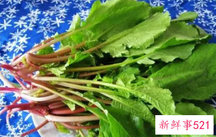 萝卜缨有什么营养