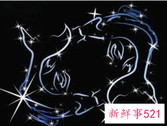 双鱼座的理财