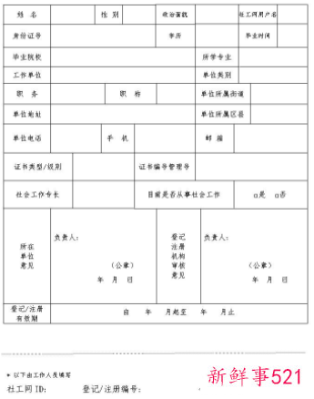 社会工作情况怎么填写