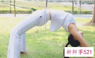 初学者练什么瑜伽