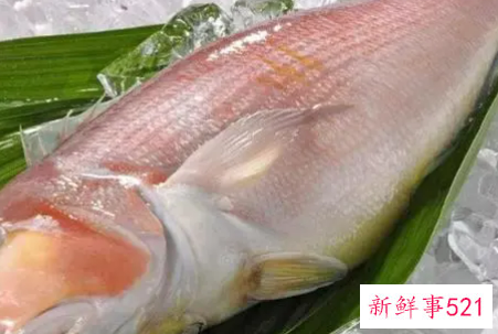 鱼肉的营养价值与功效