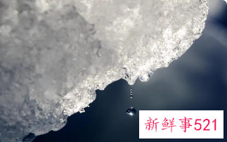 南北两极出现反常极端高温天气