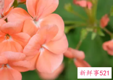 五一适合去哪里玩穷游沈阳