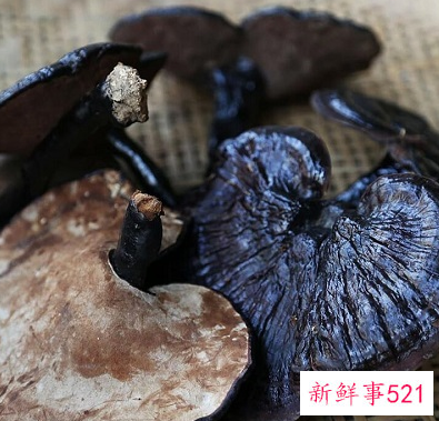 女人长期喝灵芝水的好处