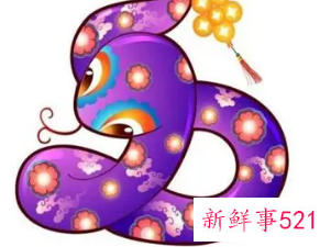 01年蛇女和94年狗男婚配