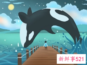 星座有几种属性