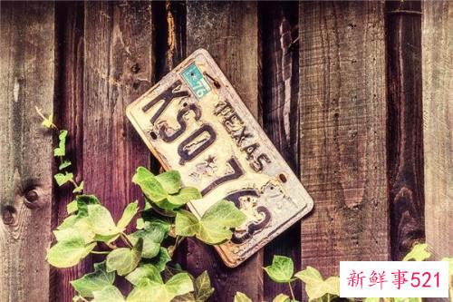 梦见一个车牌号码什么寓意