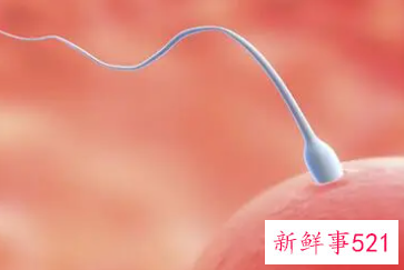 人工受精后有哪些反应