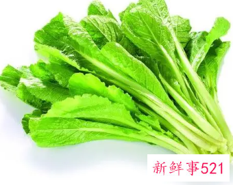 芥菜和哪些食物相克