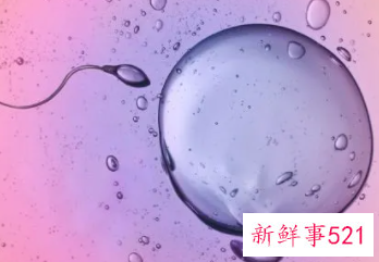 人工受精后有哪些反应