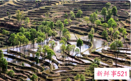 我国首辆旅游高铁有多牛