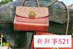 中国名包品牌排行榜