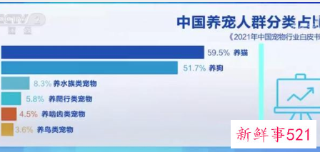 中国一人户家庭已超1.25亿户,宠物饲养热度攀升