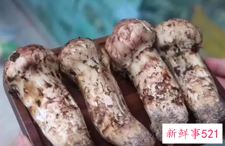 松茸的储存方法是什么