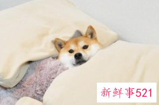 史上最全职业专属放松法