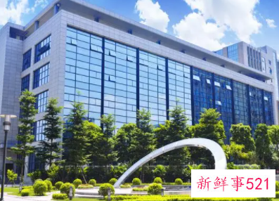 公司无财产可执行法人