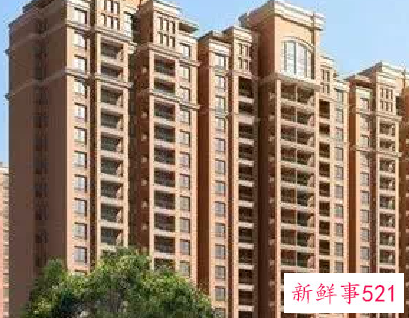 楼层为什么买单不买双科学吗