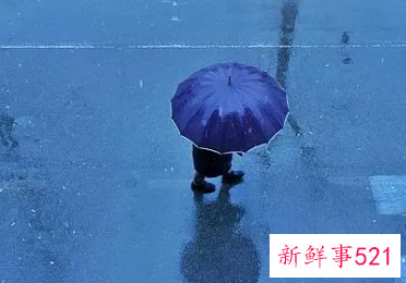 梦到下雨雨伞都是坏的