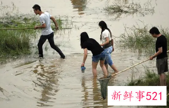 梦见在干活什么意思