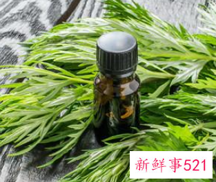 产妇艾叶煮水喝有什么功效