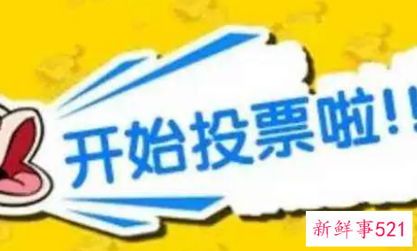 投票活动策划方案