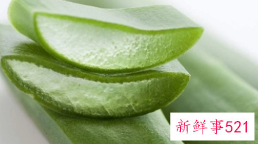 芦荟和什么放一起能祛斑
