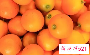 金桔的功效与营养价值
