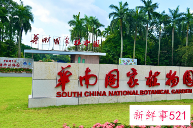 华南国家植物园揭牌成立,物种保育2万种以上