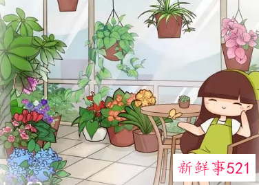 梦见搬花盆什么意思