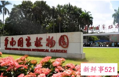 华南国家植物园揭牌成立,物种保育2万种以上
