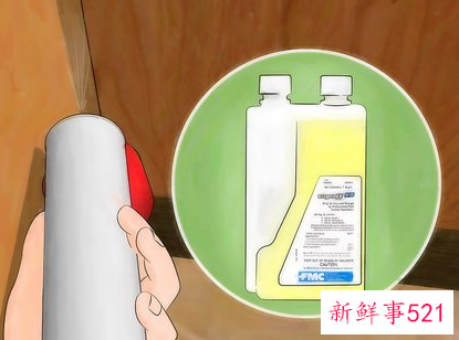如何消除蟑螂